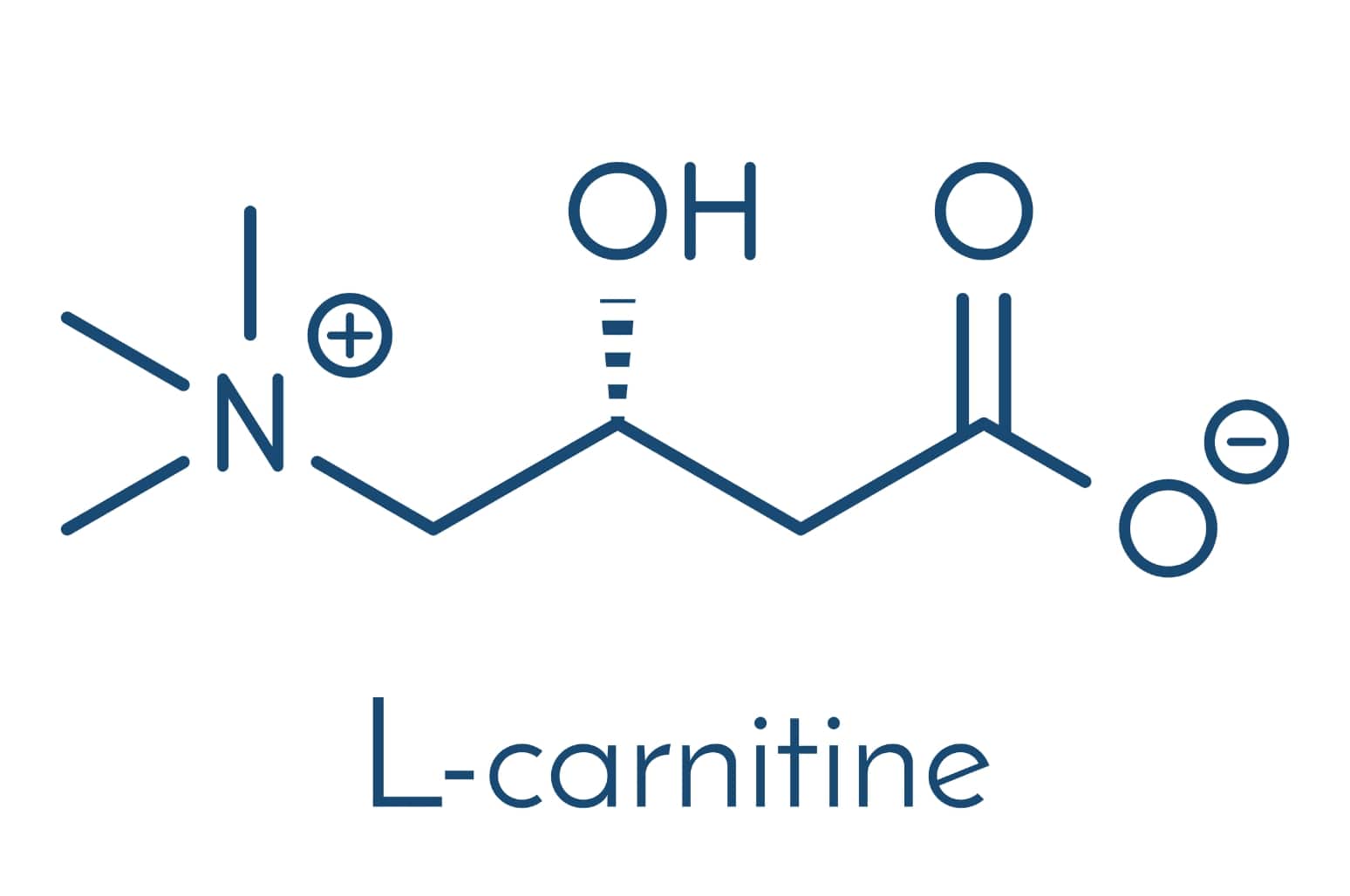 L-carnitine